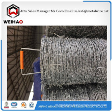 quality galvanized steel razor barbed wire/stainless steel barbed wire